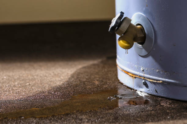 Best Mold removal after water damage  in Piermont, NY