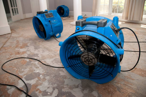 Best Flood damage cleanup  in Piermont, NY