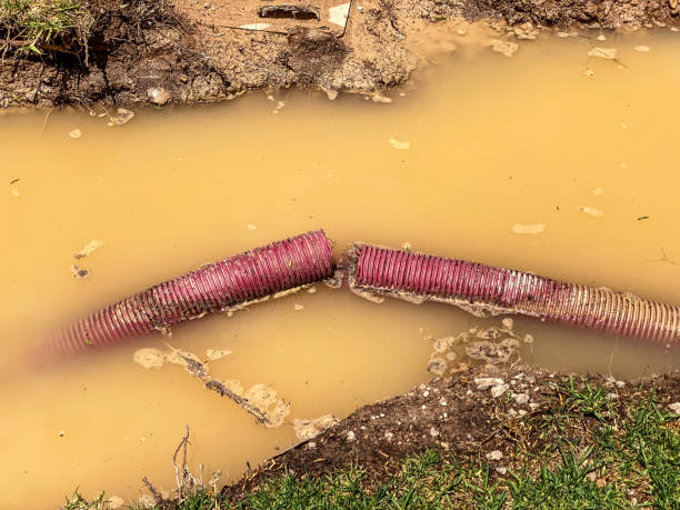 Best Water damage contractors near me  in Piermont, NY